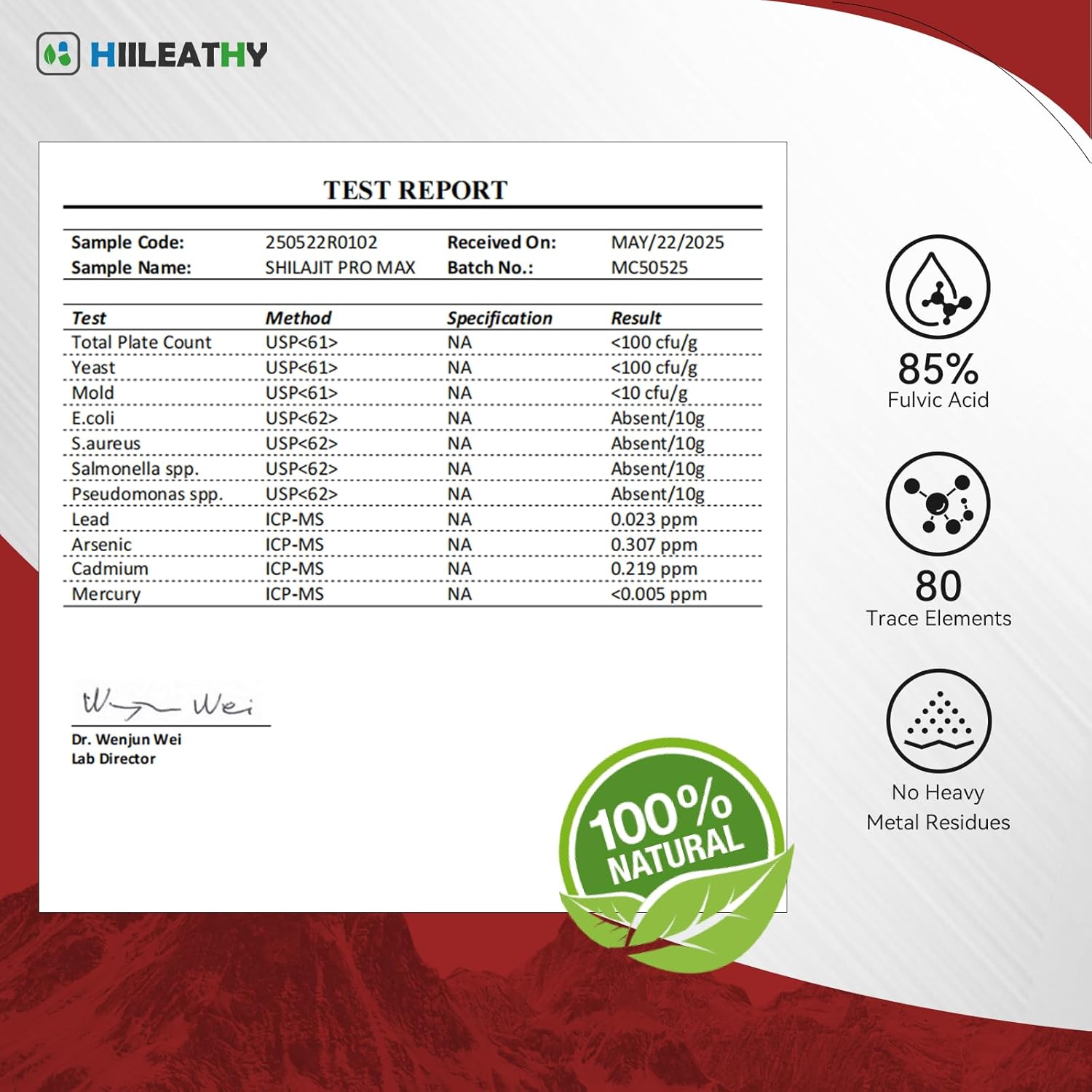 Shilajit Pro Max – Advanced Daily Wellness Formula